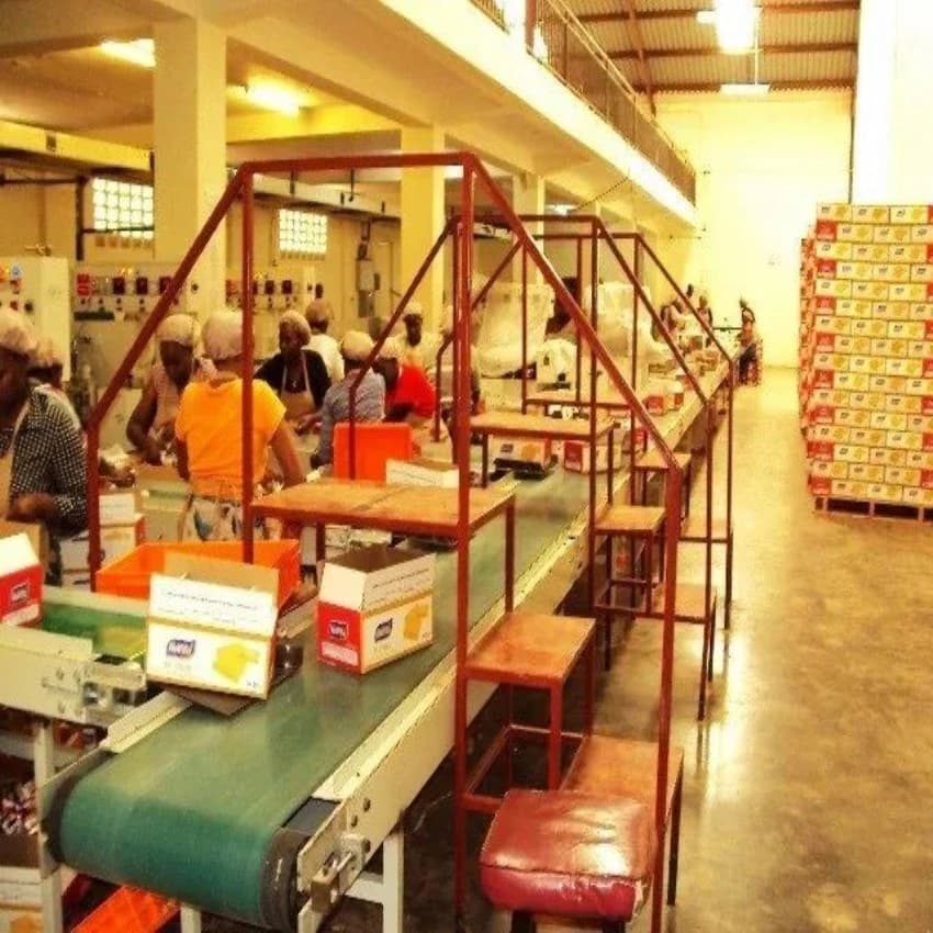 Jay Stainless Steel Belts Conveyor for Food Packing