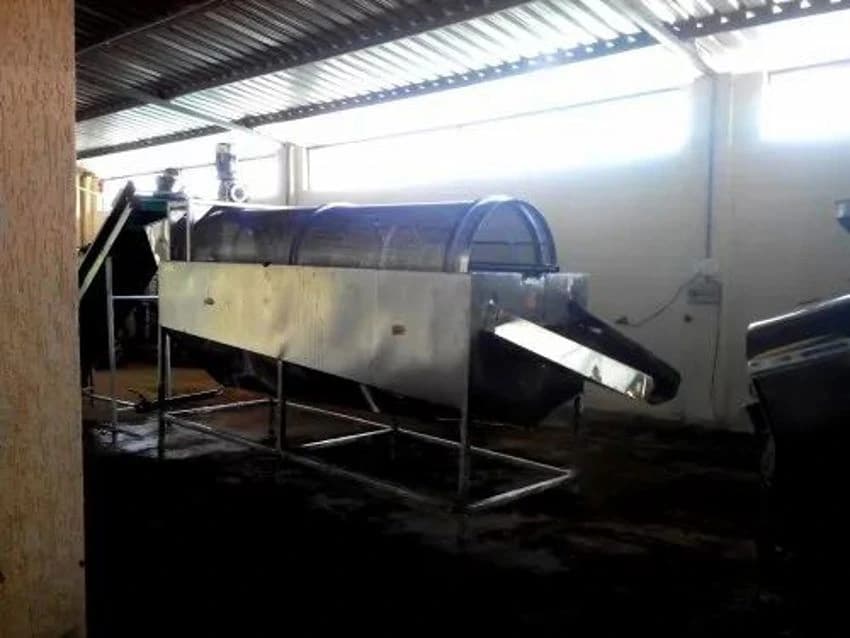 Rotary Fruits & Vegetable Washing Machine