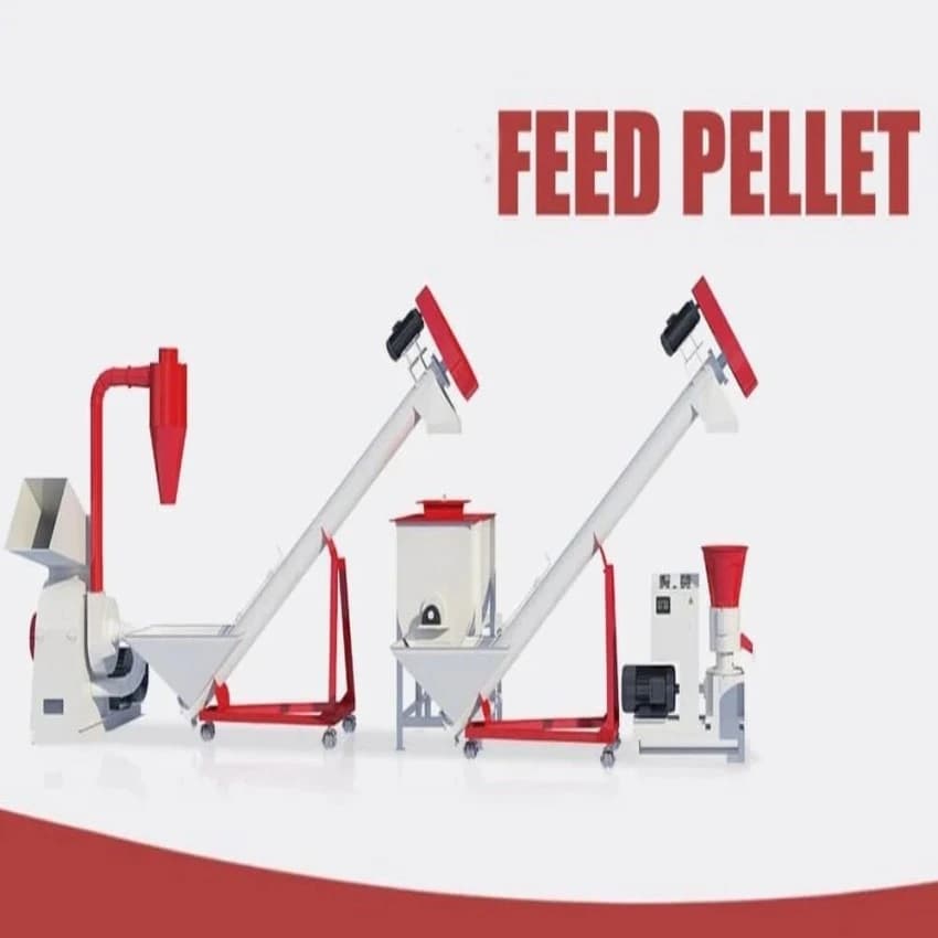 Cattle Feed Pellet Machine, 500 kg Per Hr
