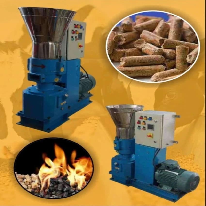 Floating Fish Pellet Making Machine, 100 kg/hr