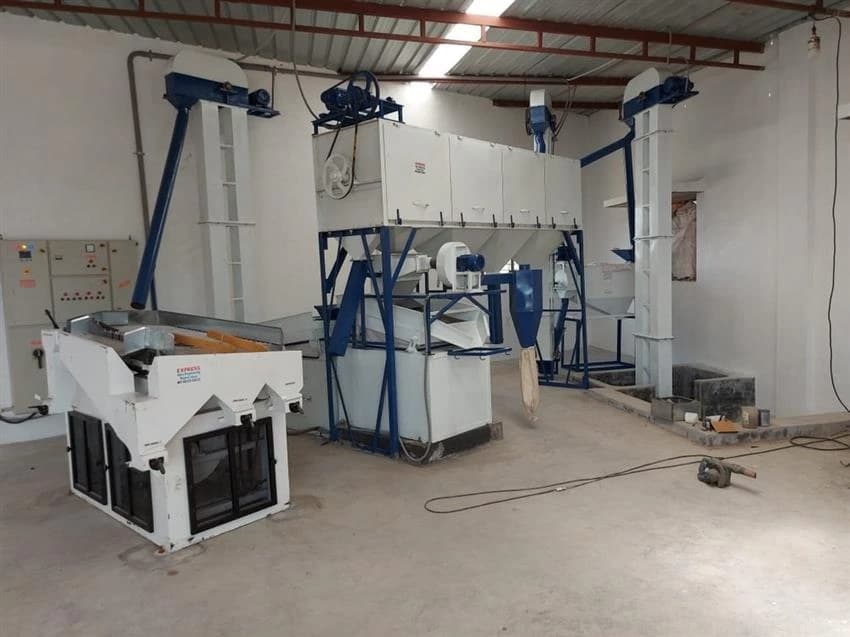 Seed Processing Plant, For Industrial