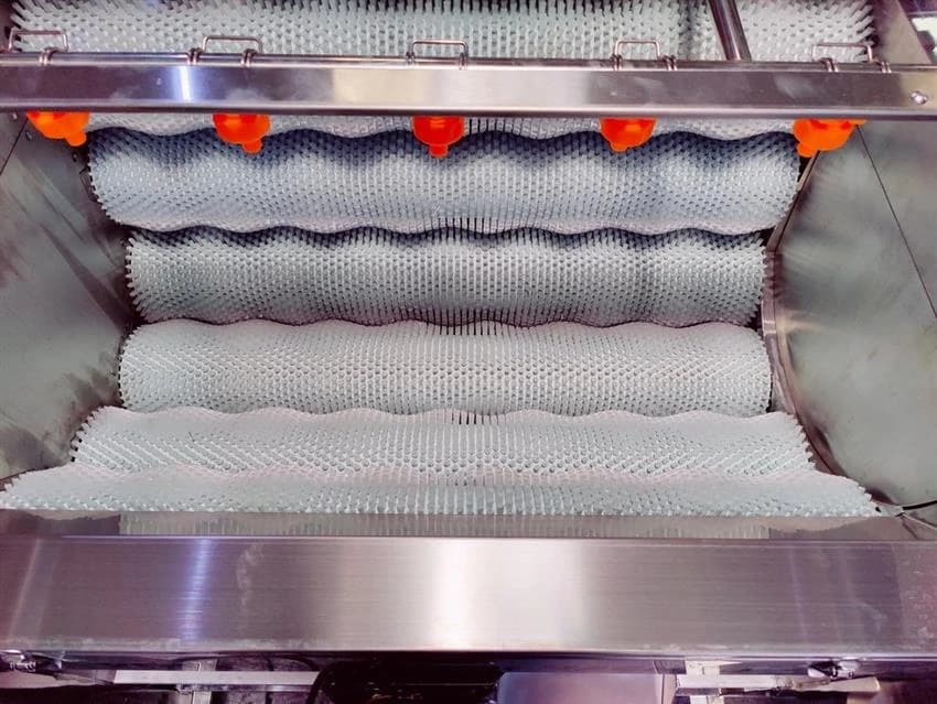 Brush Cleaning Peeling Machine - 800, Capacity: More Than 500 kg/hr