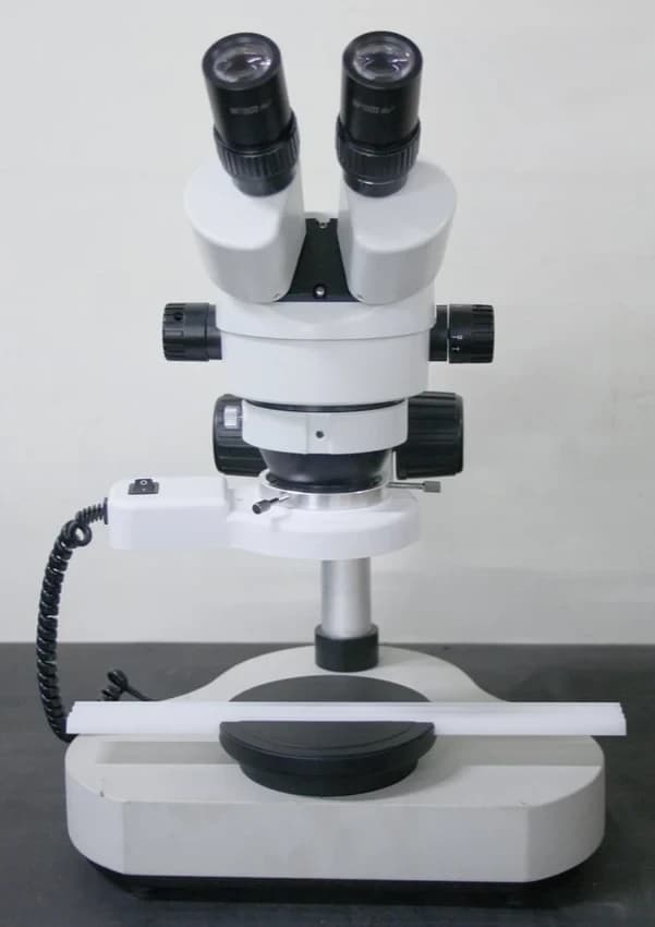 Stereo Microscopes