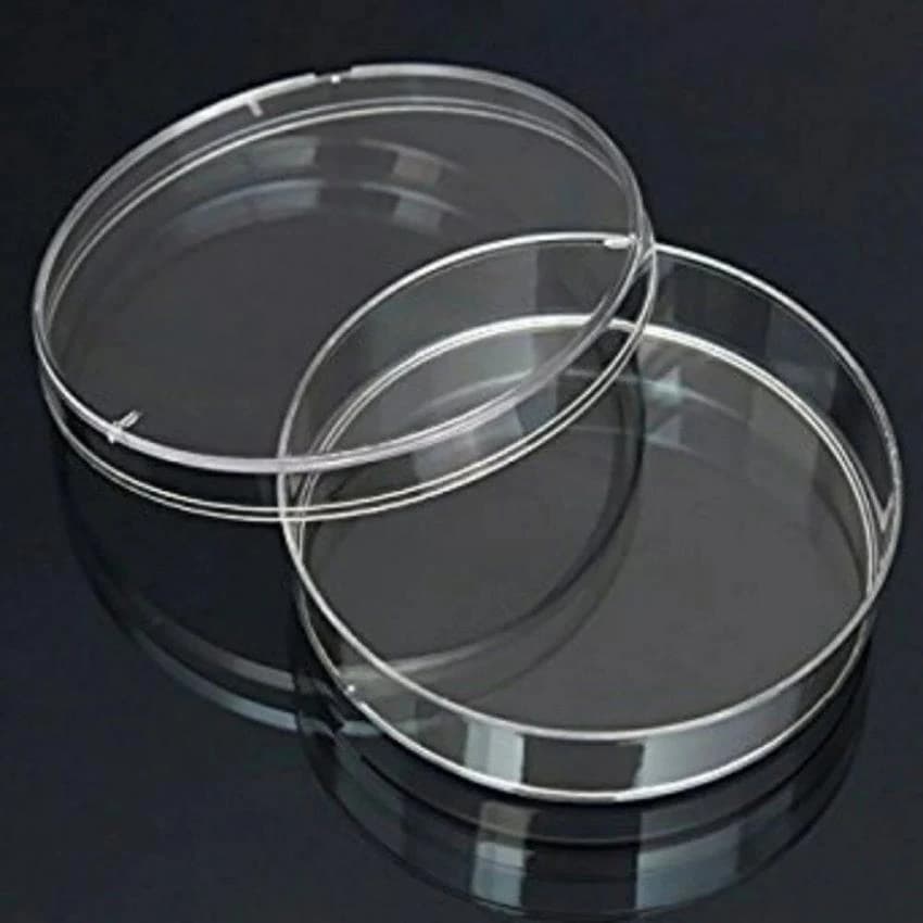 Accu plus Transparent Disposable Petri Dish, For Chemical Laboratory