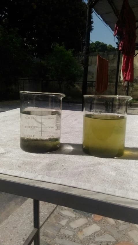 Wastewater Treatment Services - MBBR Technology for Combined Wastewater (501 to 1 MLD)