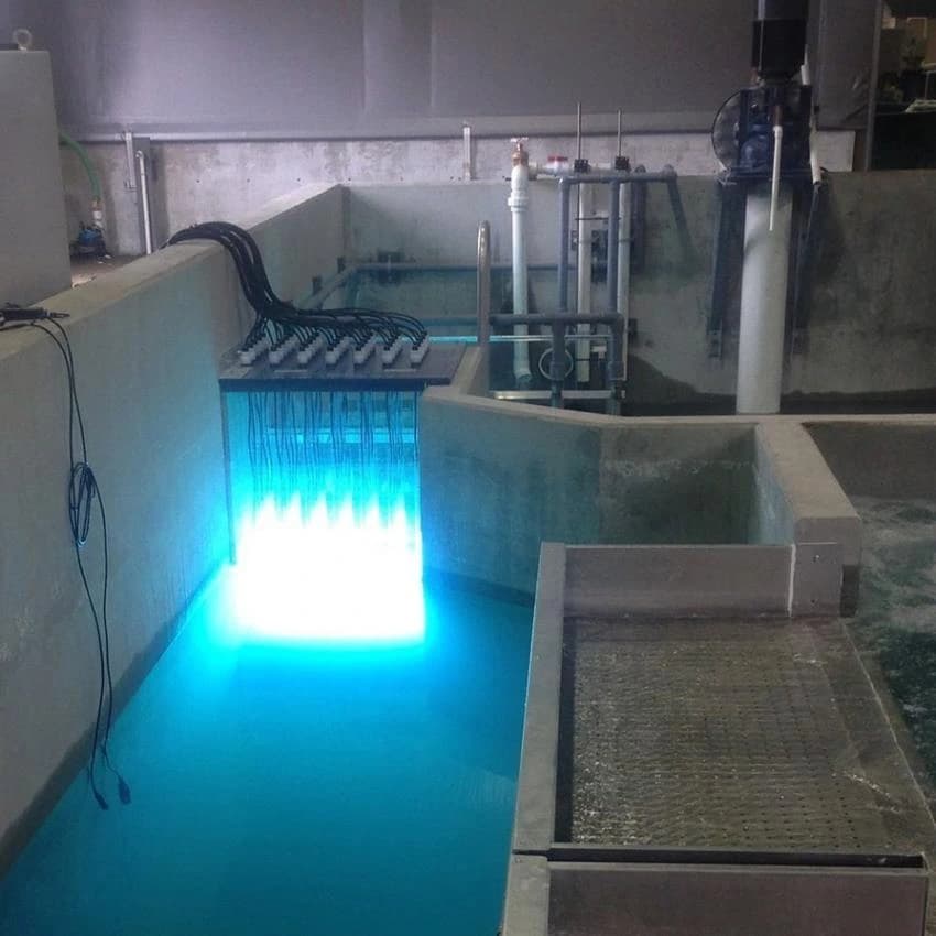 R.s Polymers Glass Uv Filter For Small Ras, Model Type: 315 N, Capacity: 10000 Liters Per Hour