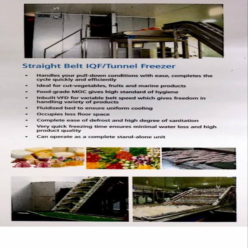 Straight Belt IQF/Tunnel Freezer, Capacity: 200 L
