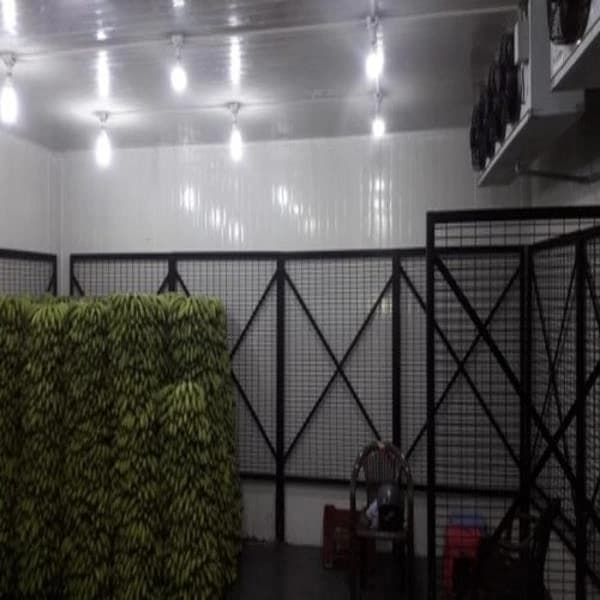 Automate banana ripening chamber, Capacity: 6 Ton