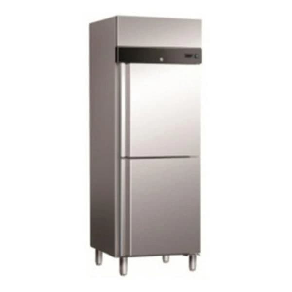 Deep Freezer Reach in RI 550 C
