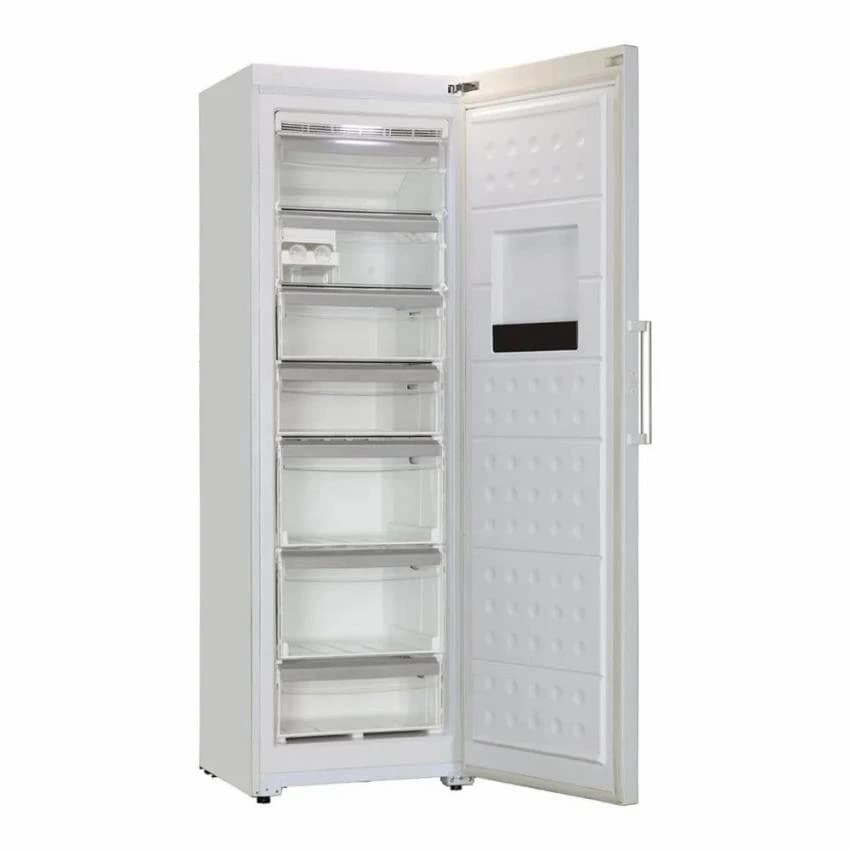 Vertical Deep Freezer