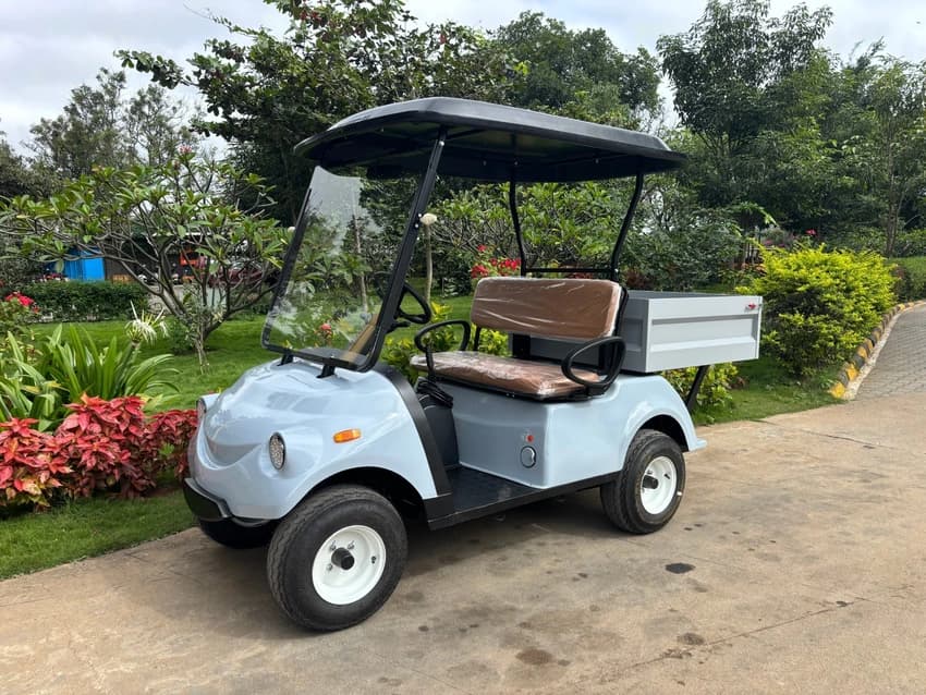 Medical Utility Buggies