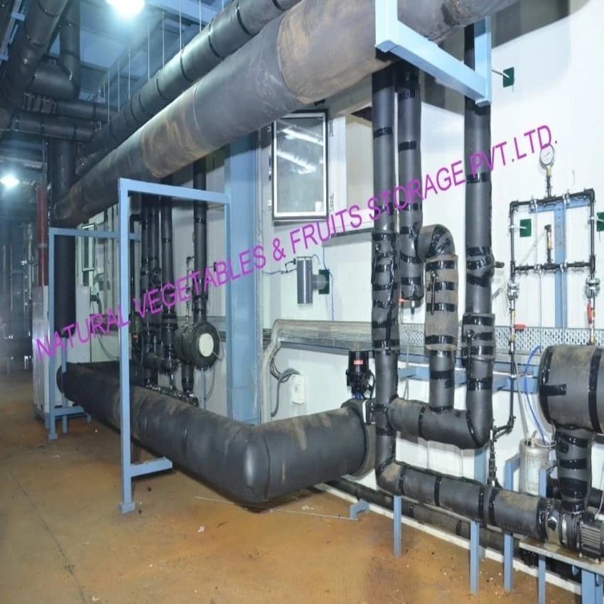 Turnkey Solutions for Frozen Plant Machines