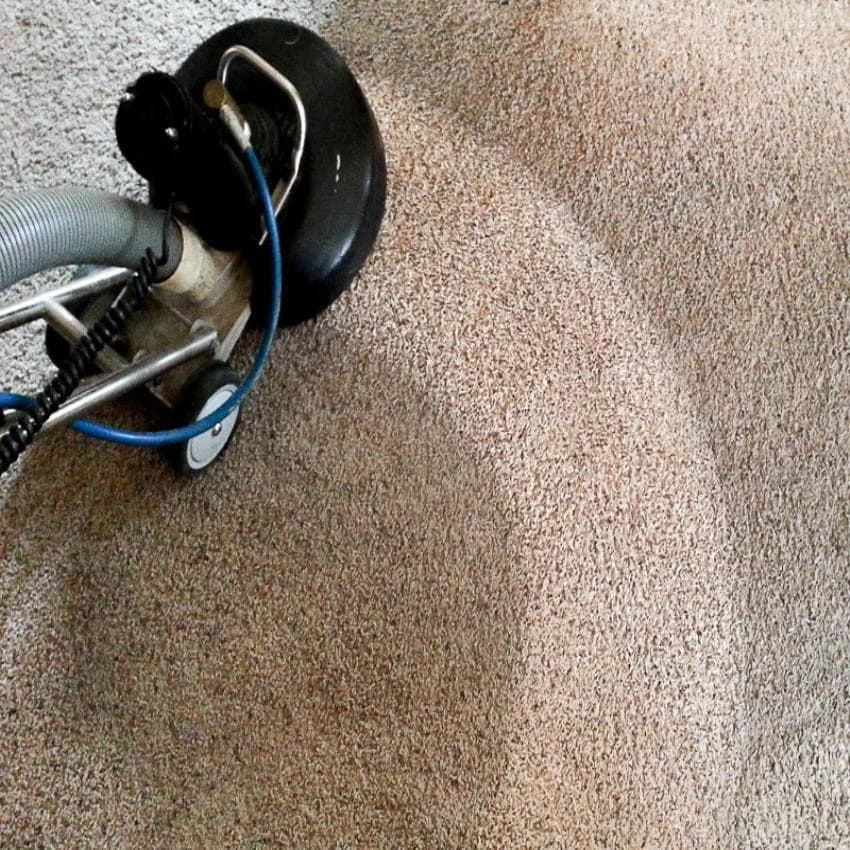 Carpet Cleaning Services