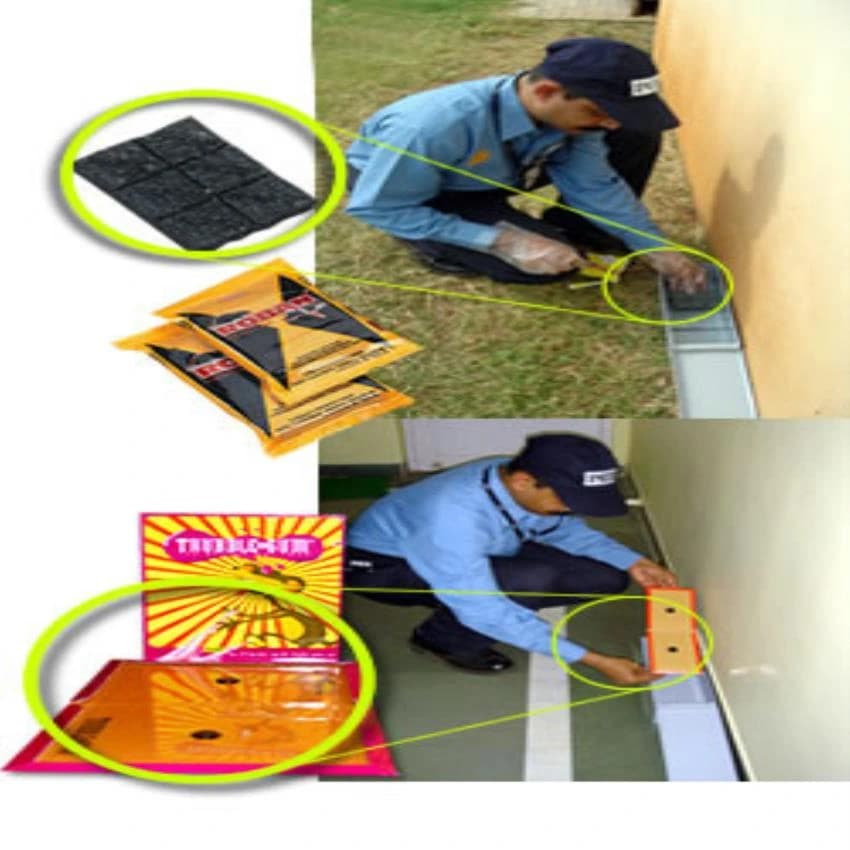 Rodent Control Solutions