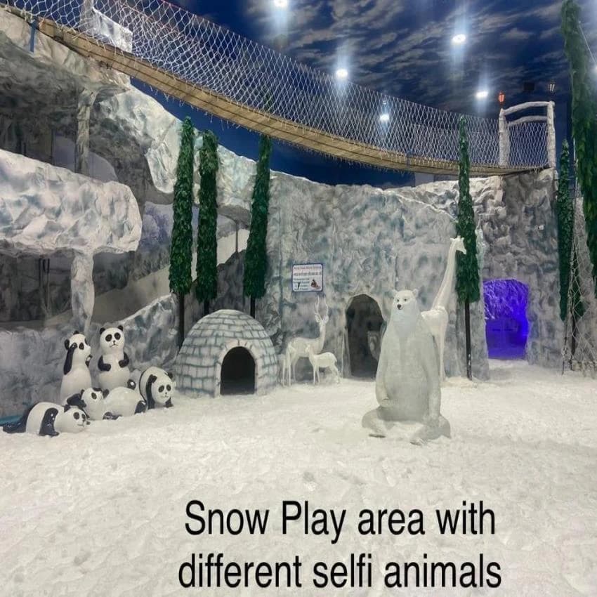 Snow Park Service