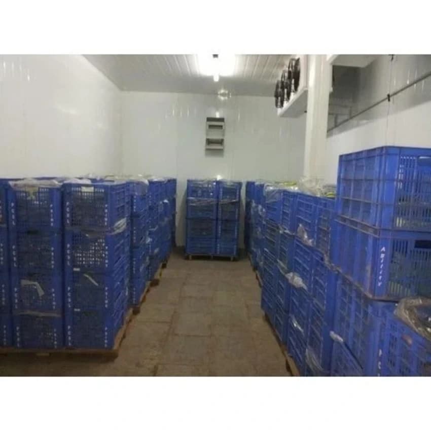 Blue Cold Cold Room For Ice Cream, 240 - 330 V, 3-5 Kw