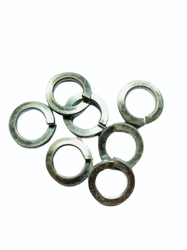Ss Spring Washer