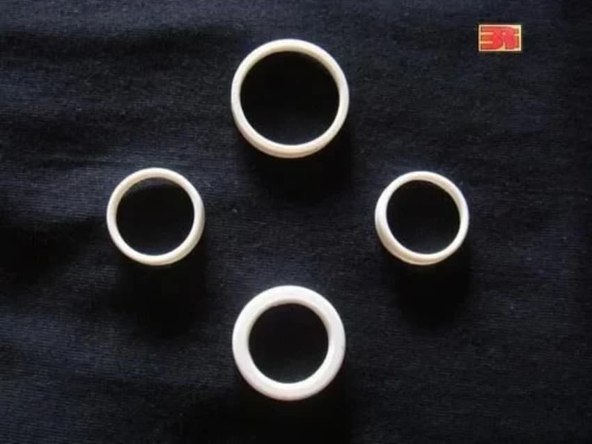 Dust Seals