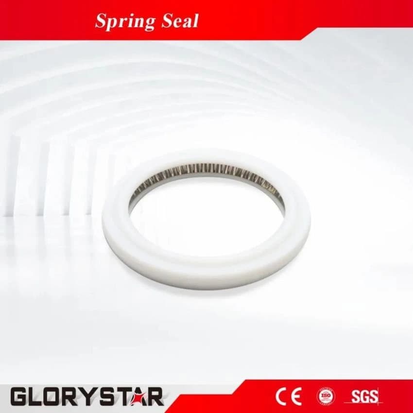 Ptfe + Stainless Steel Glorystar Original Raytools Spring Energized Seal, Packaging Type: Carton