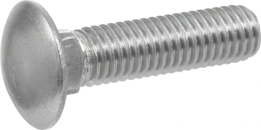 SS Carriage Bolt, Material Grade: SS304