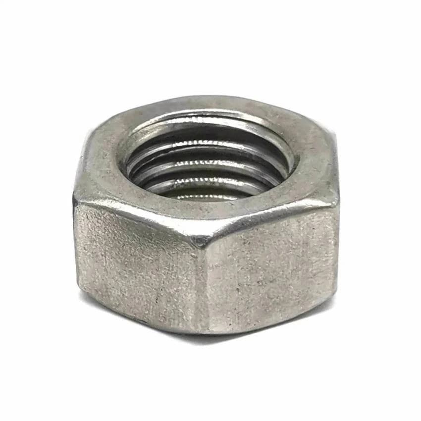 Hexagonal Ss Hex Nut