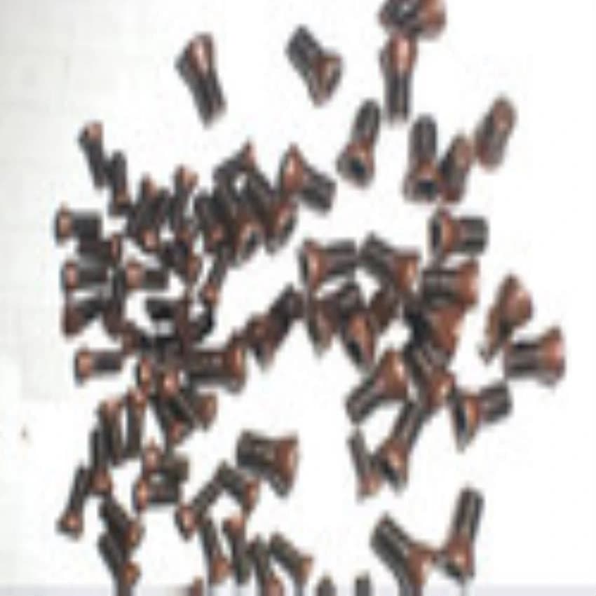 Round Screw