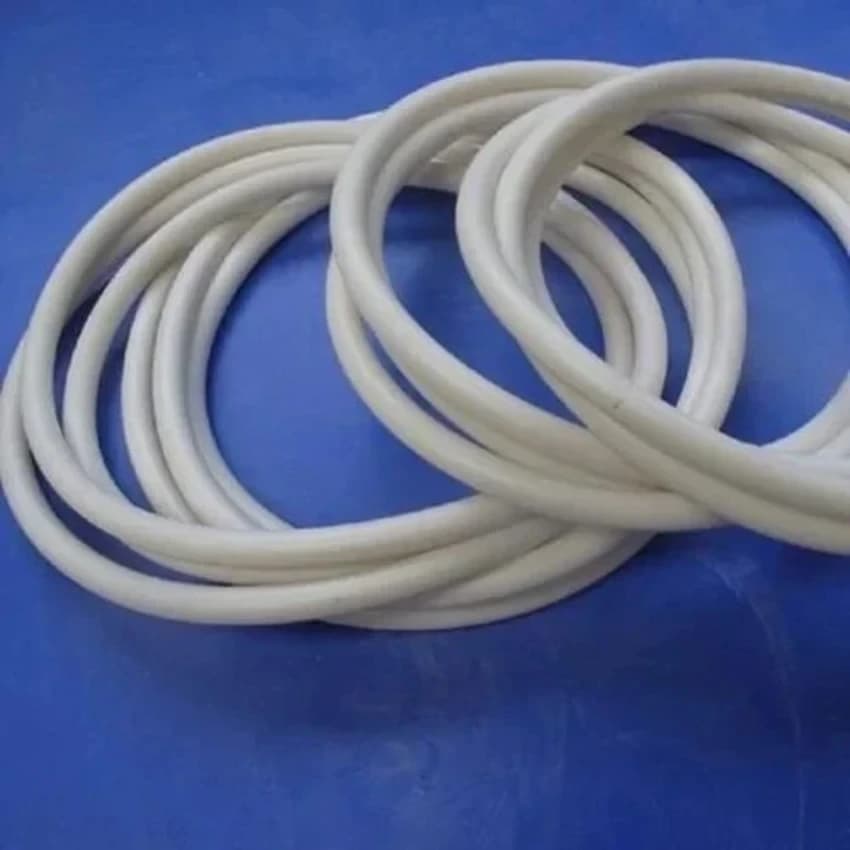 Round autoclave door gasket
