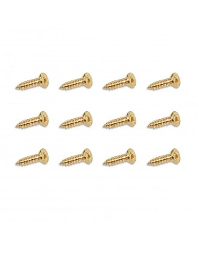 Reliable Polished 1 Inch Golden Screw, For Hardware Fitting