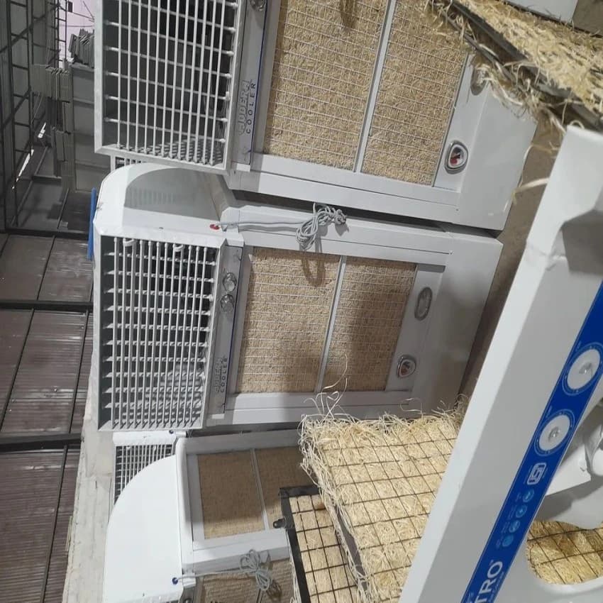Duck Air Cooler
