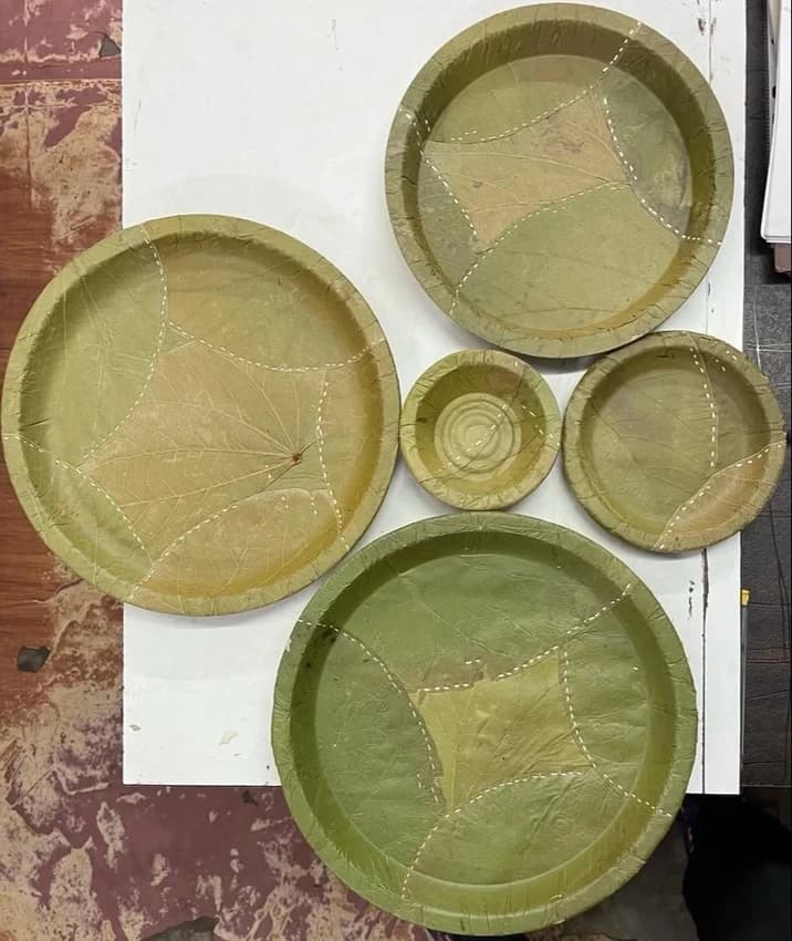 Beautia Superba Leaf Tiffin Plate