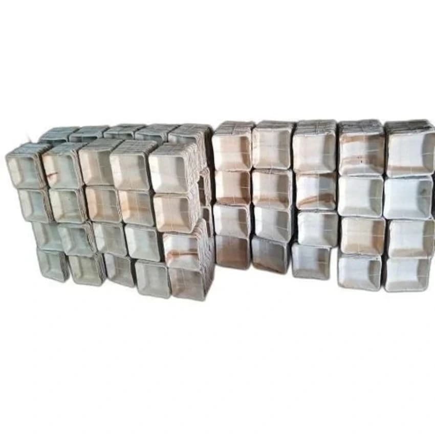 Eco Friendly Food Packaging Container, Disposable