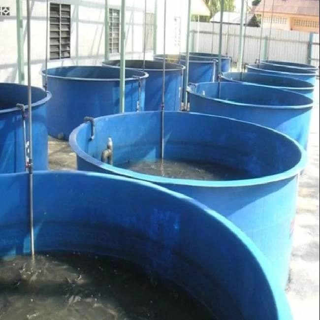 KFG FRP Aquaculture Fish Farming Tank