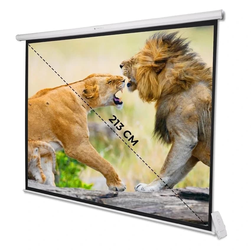 White ZEBRONICS PSM84A Motorised Projector Screen, For Office, Screen Size: 80 Inch