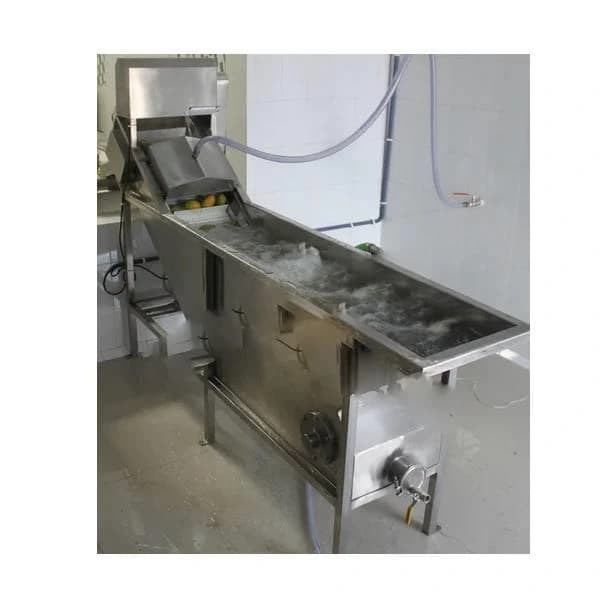 Fruit Washer