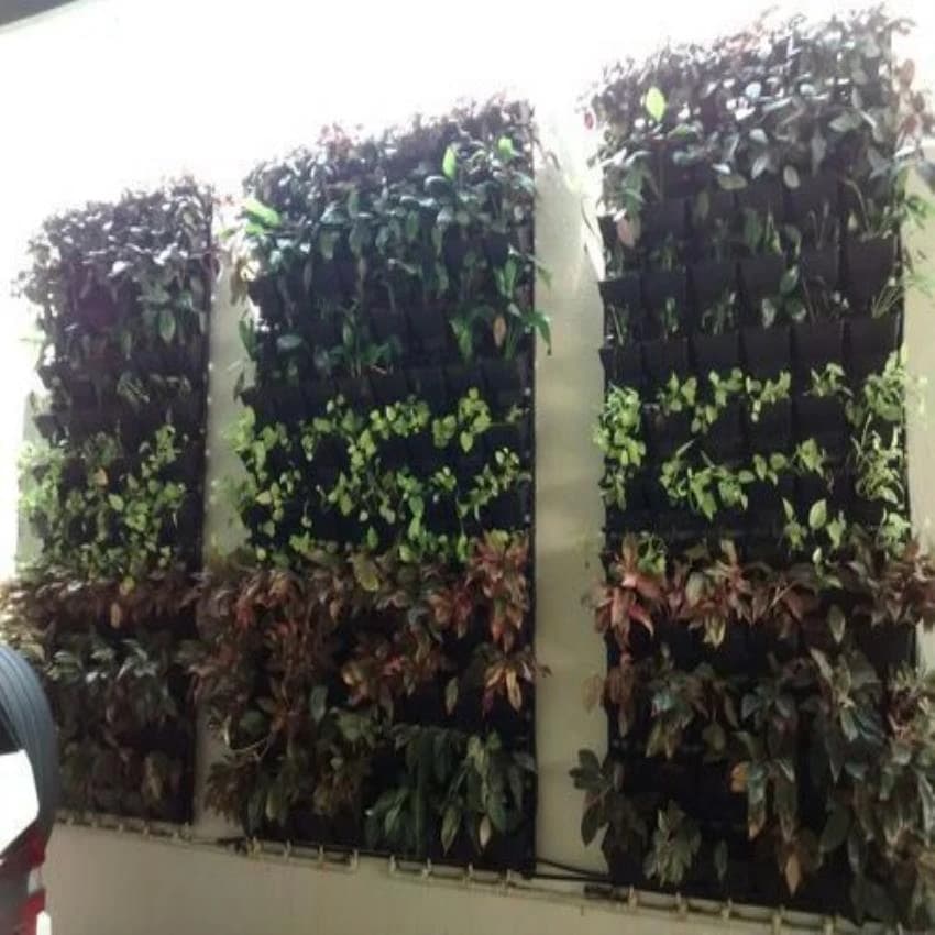 Elmich VGP Planter wall