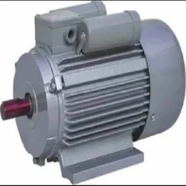 induction Electrical Motor