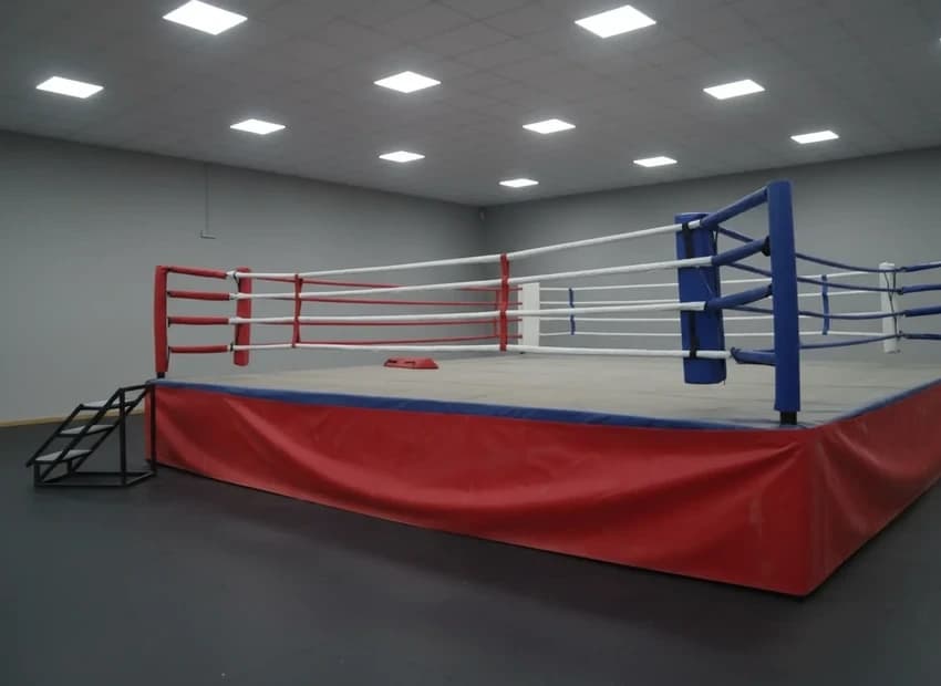 Adjustable Portable Boxing Ring