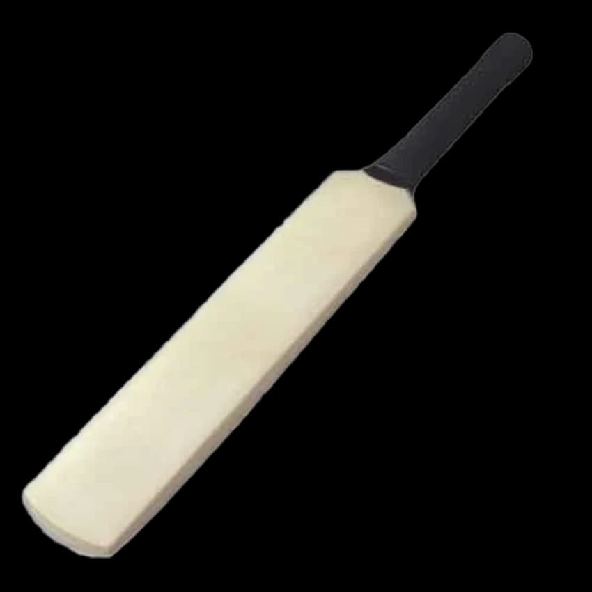 Plain Kashmir Willow Cricket Bat