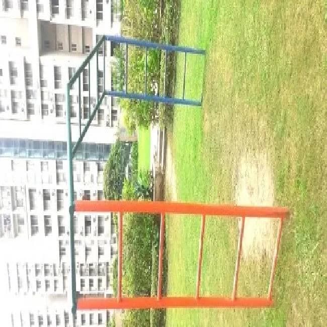 Monkey Climbing