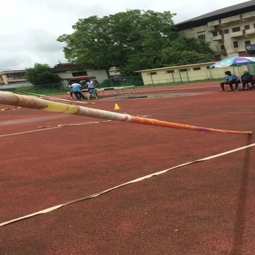 Carbon Fibers Blue Pole Vault Pole