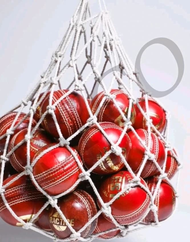 Ball Carrying Net QSICO CBSM-24T