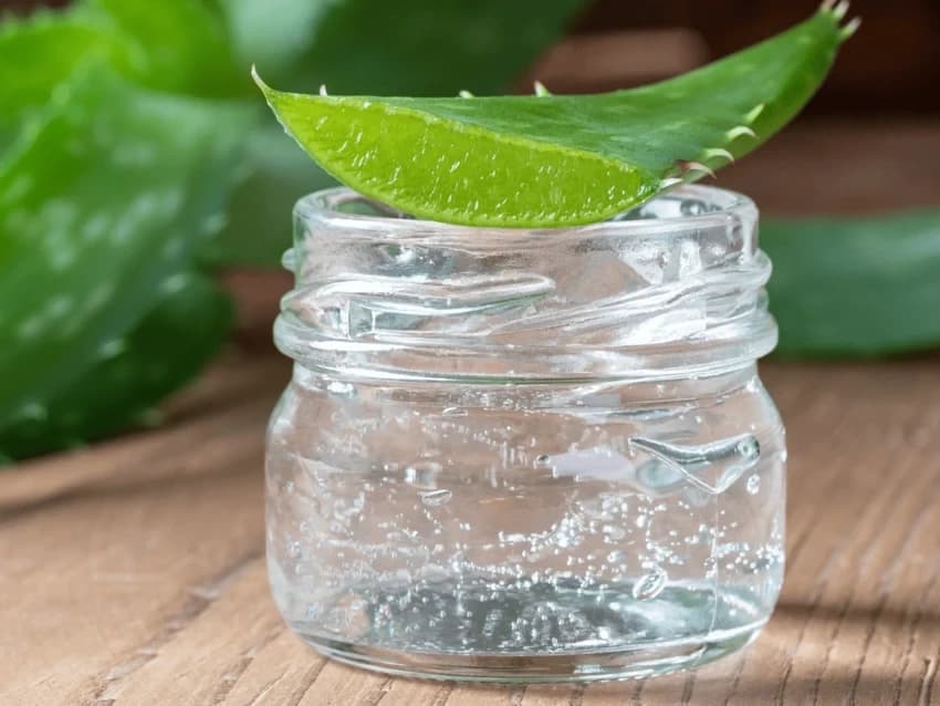 100% Fresh Aloe Vera Gel, 250 Gm,500 Gm