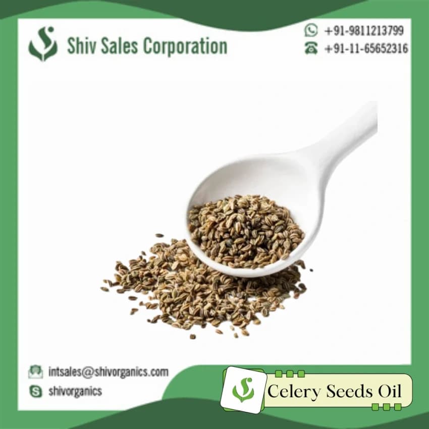 100 % Celery Seed Oil, For Cosmetic
