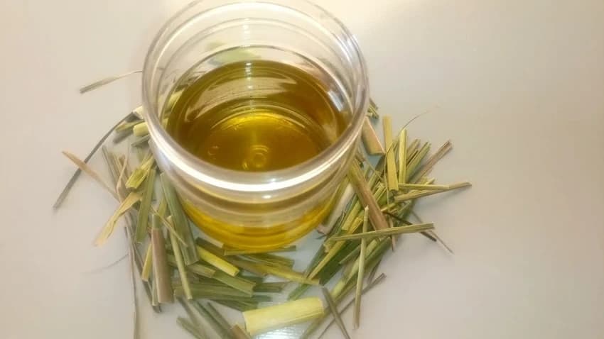 Oil of Lemongrass