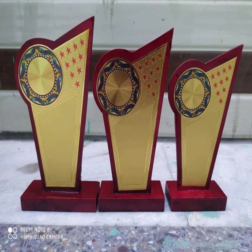 Shield Wooden Trophy, Size: 5-10 inch