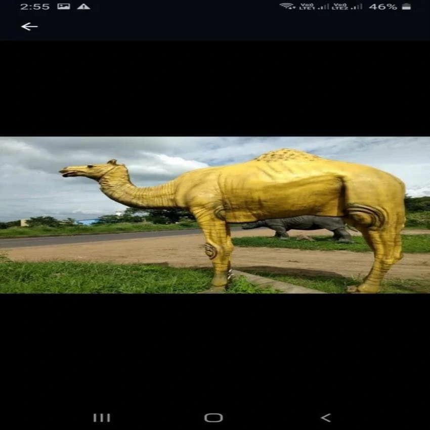 Natural Frp Animal Statue