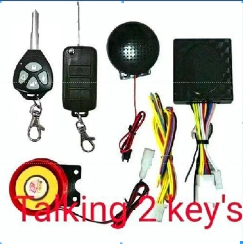 Buy Now Talking Key, For Promotional