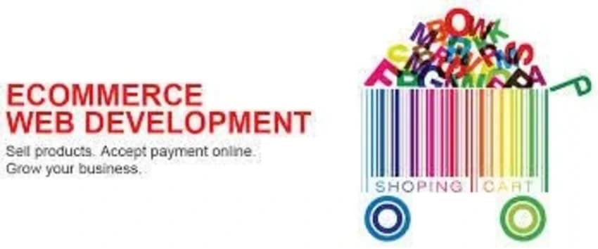 Ecommerce Web Development