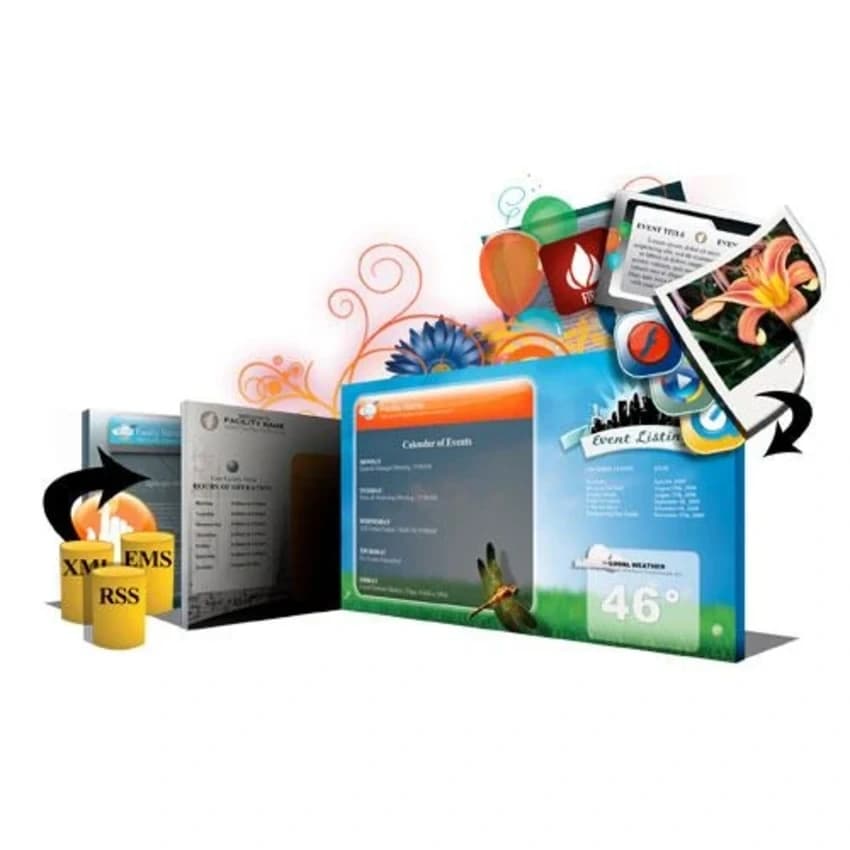 Dynamic Website Designing Service