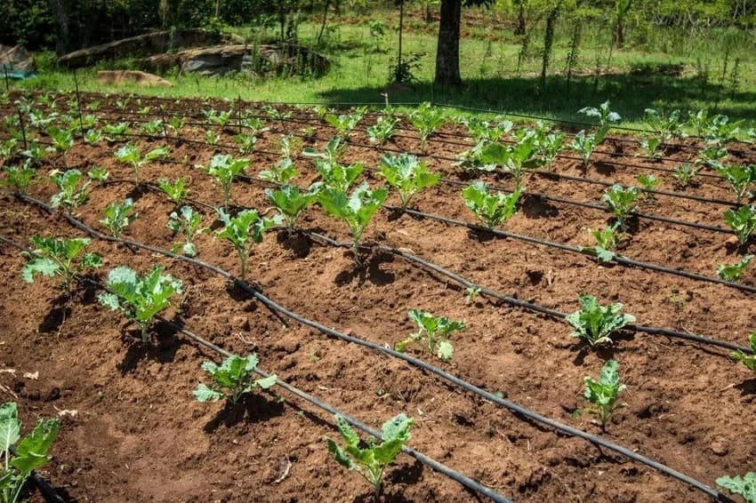 HDPE 32 mm Semi Automatic Drip Irrigation System, 4 Bar, 300 m